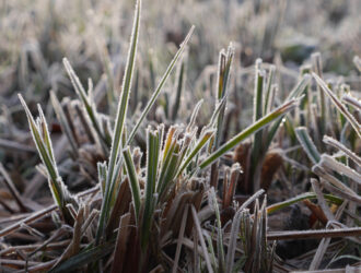 Photo naturaliste