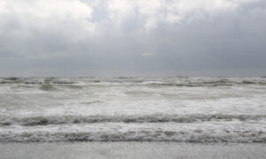 Photo naturaliste