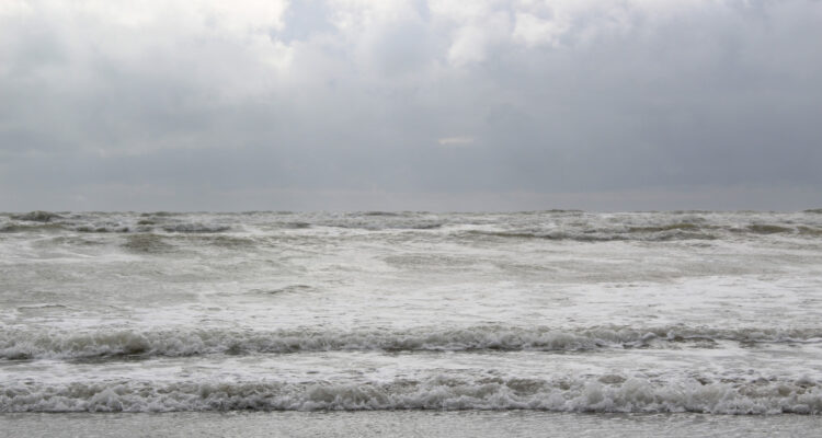 Photo naturaliste